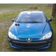 PEUGEOT 206 1.1 44 kW / 60 HP