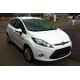 Ford Fiesta 1,25 Duratec 44kW/60HP 44 kW / 60 HP