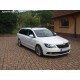 ŠKODA Superb II Combi 2.0 TDI CR 125kw / 170 HP DSG