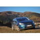 FORD S-max 2,0 TDCI 96 kW / 0 HP